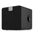 SW80D Active Subwoofer 160W