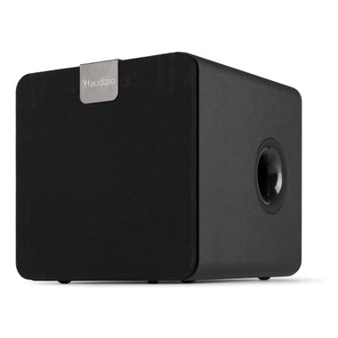 SW80D Active Subwoofer 160W