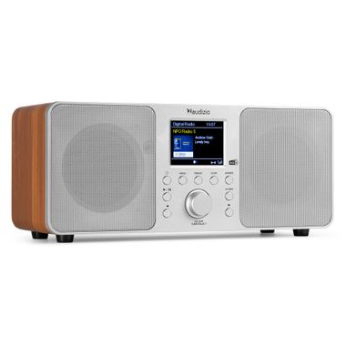 Genua DAB+ Stereo Radio Silver