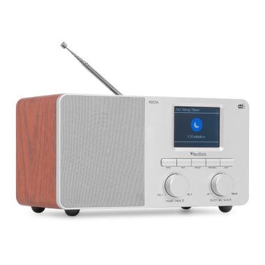 Rosta DAB+ Radio Silver