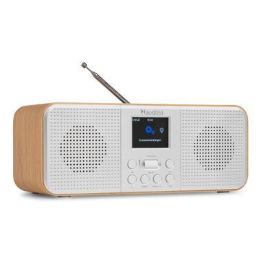 Bucine Stereo Internet Radio with DAB+ Silver