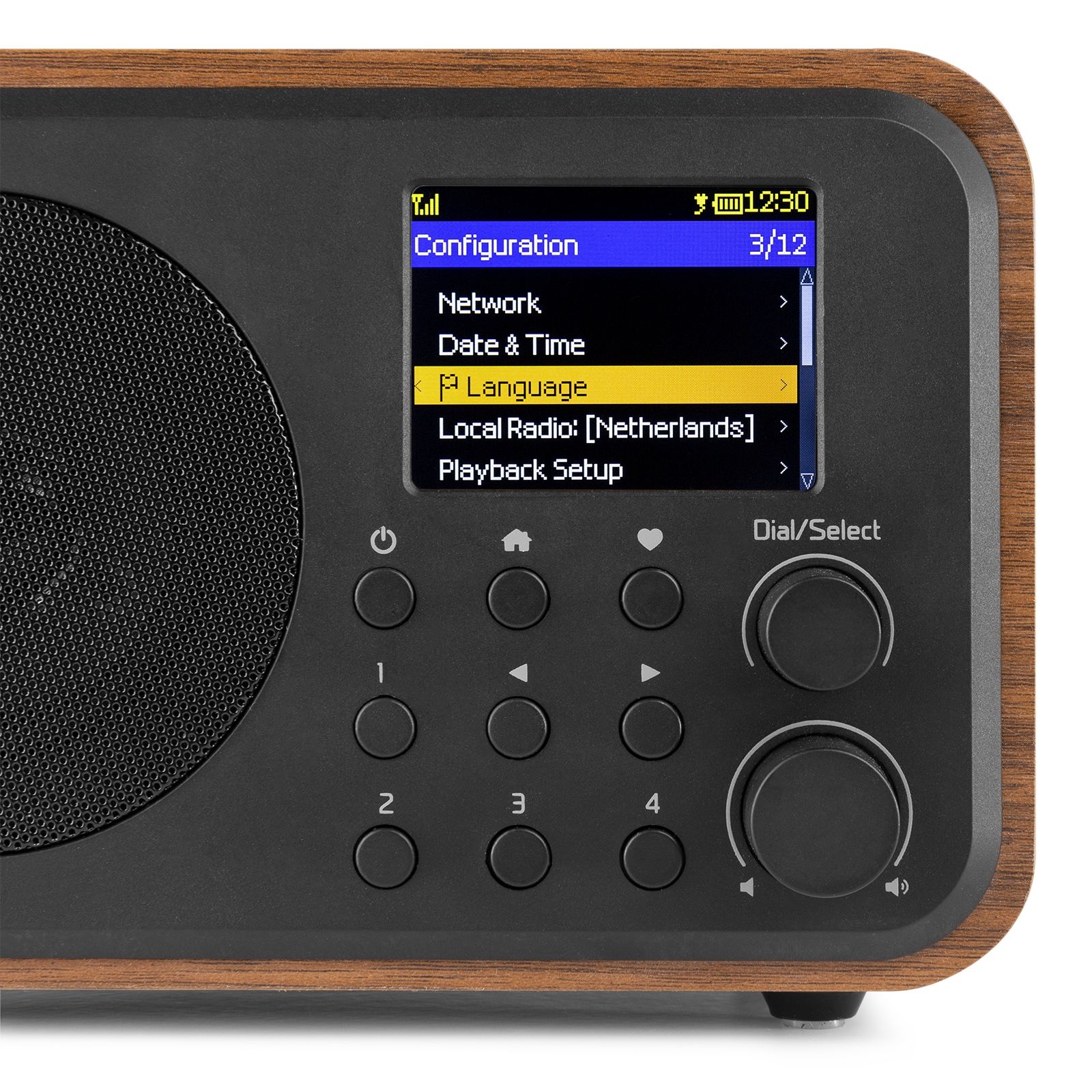 Vicenza WIFI Internet Radio with DAB+ and Battery Wood
