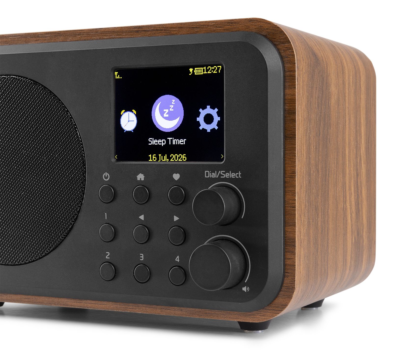 Vicenza WIFI Internet Radio with DAB+ and Battery Wood
