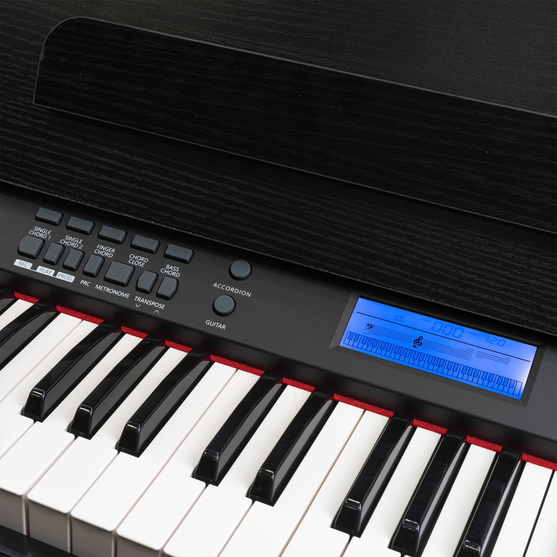 RhapsodyDP61 Digital Piano 61-keys with Furniture Stand