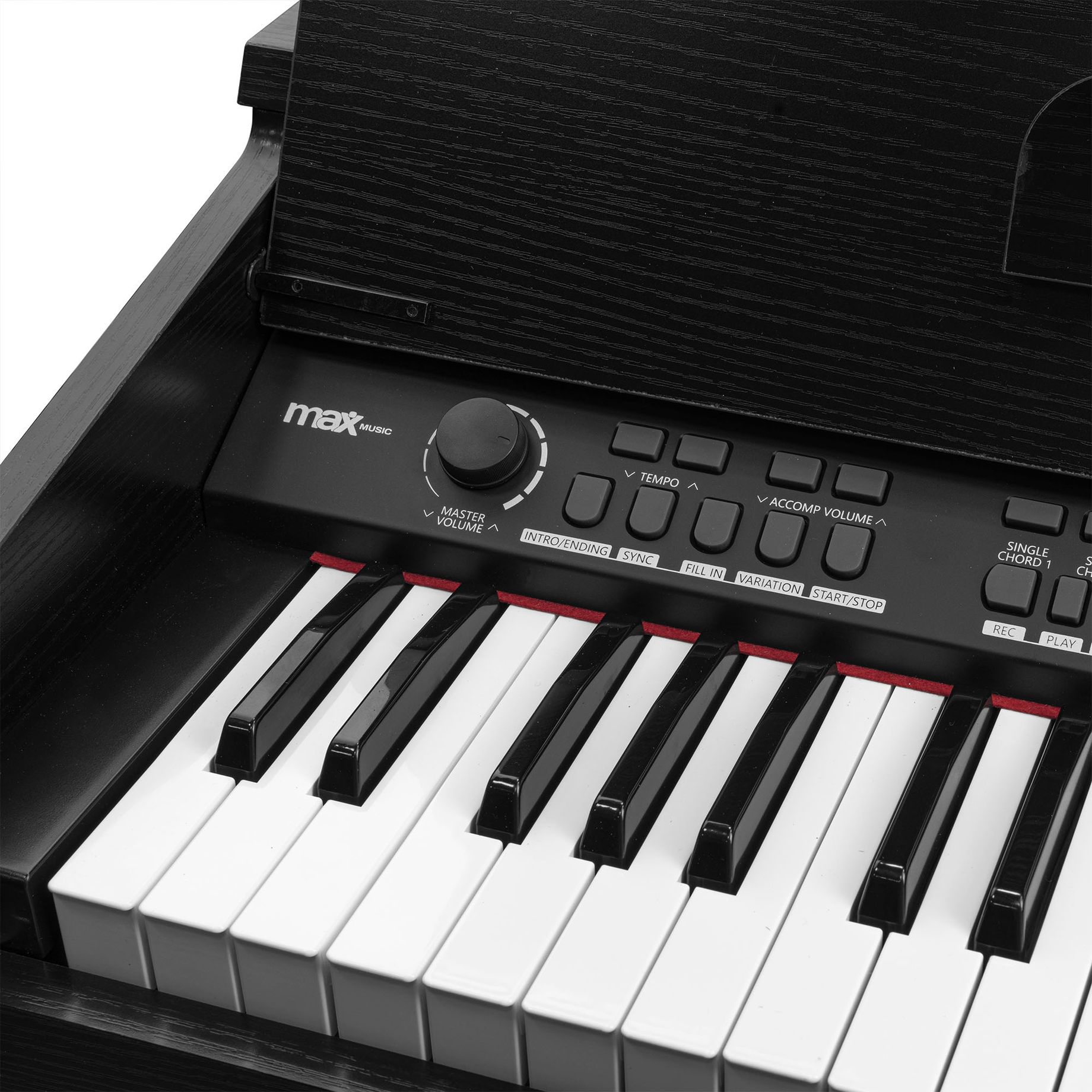 RhapsodyDP61 Digital Piano 61-keys with Furniture Stand