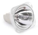 Bulb MSD230 TIGER E 7R