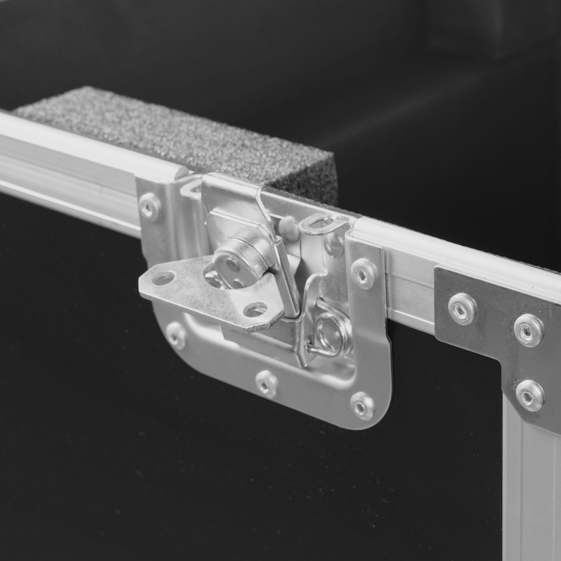 FC500 Flightcase 2x Nereid500 Front Entry