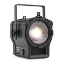 BTM250WW Fresnel Zoom 250W WW 3200K