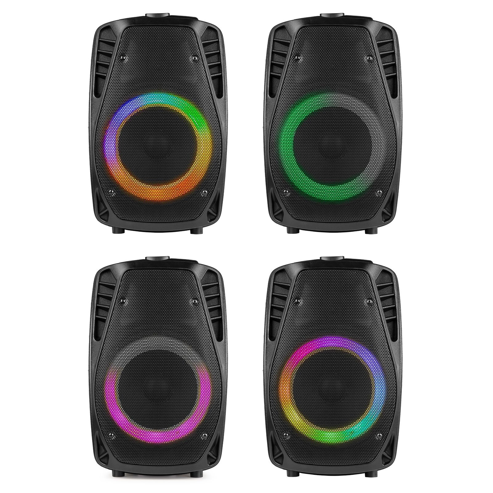 FT8LED-MK2 Portable Sound System 8"