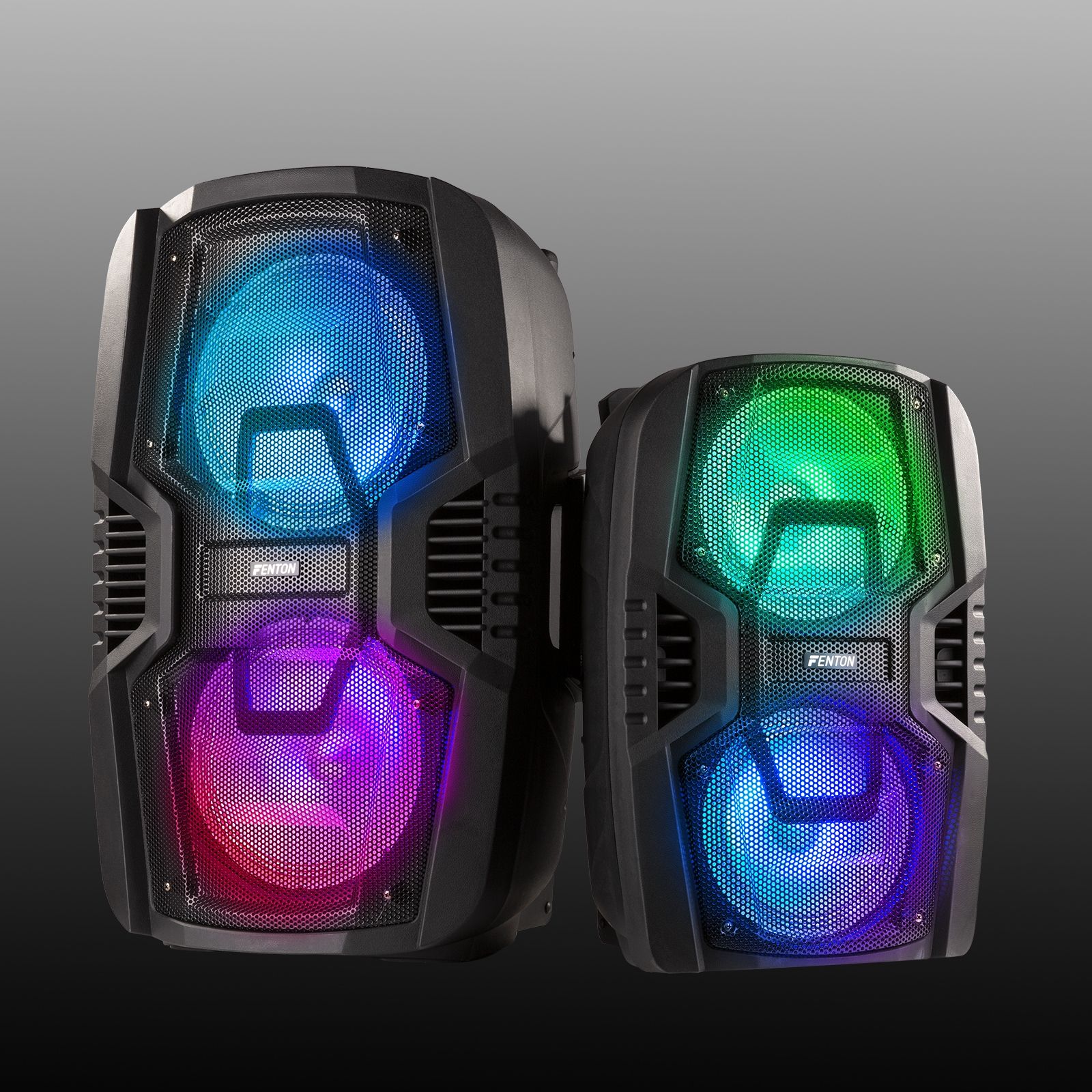 FT208LED Portable Sound System 2x 8"