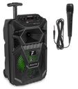 FPC8T Portable Party Speaker Rechargeable 8” with Trolley