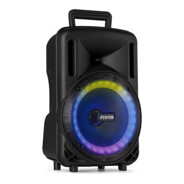 FT08LED MK2 Portable Sound System 8" 300W