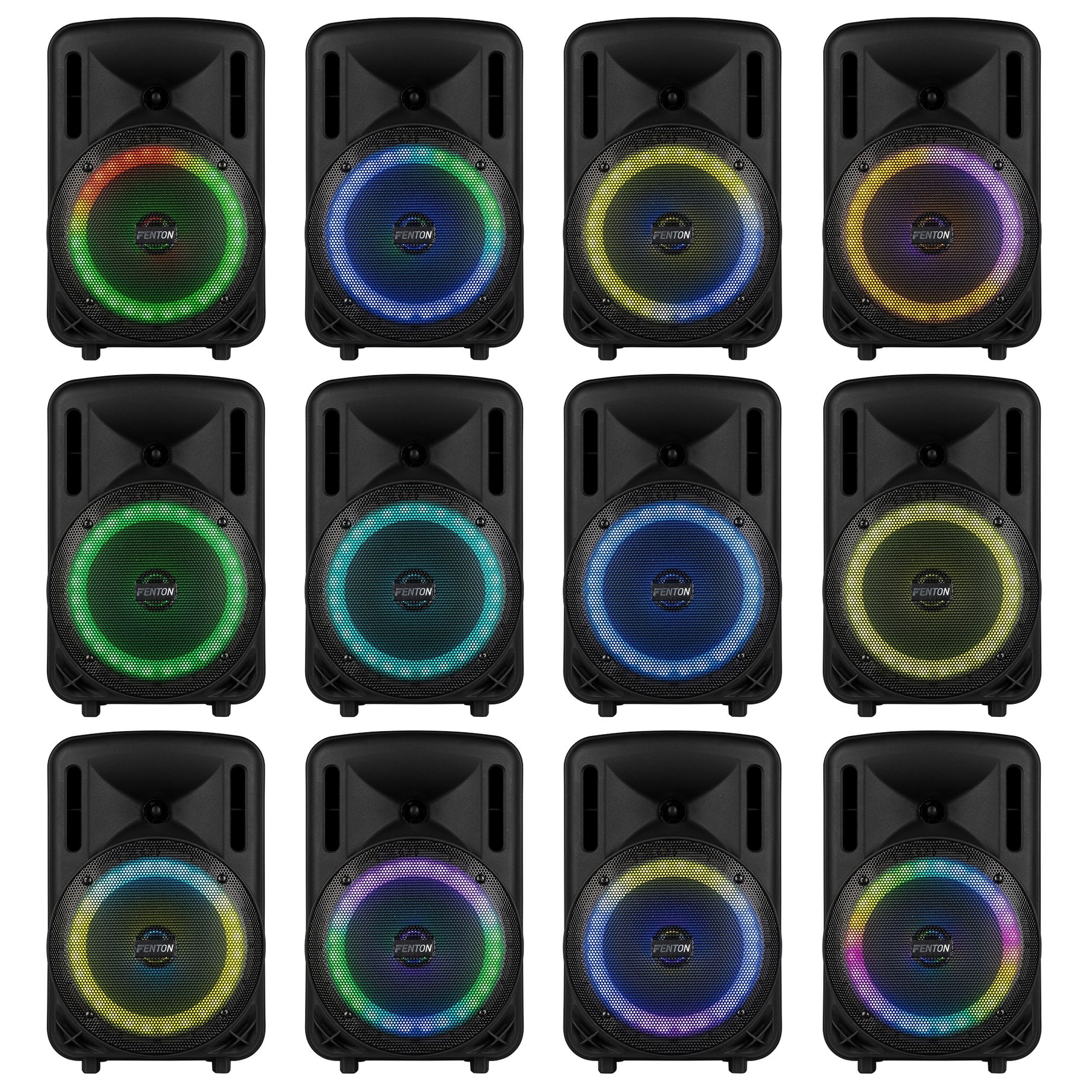 FT08LED MK2 Portable Sound System 8" 300W