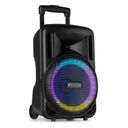 FT10LED MK2 Portable Sound System 10" 450W