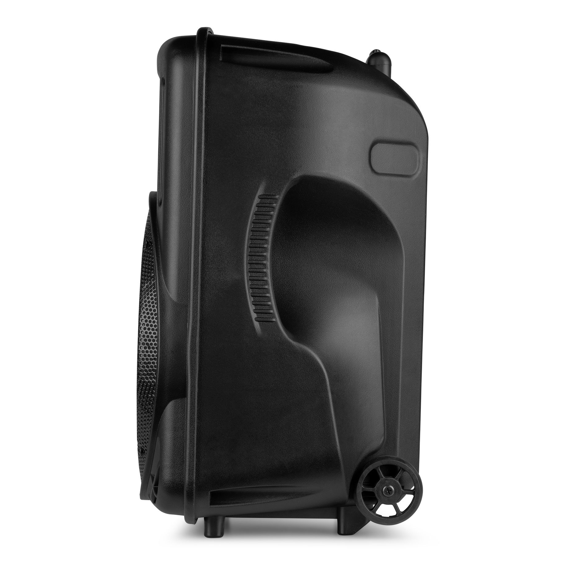 FT12LED MK2 Portable Sound System 12" 700W