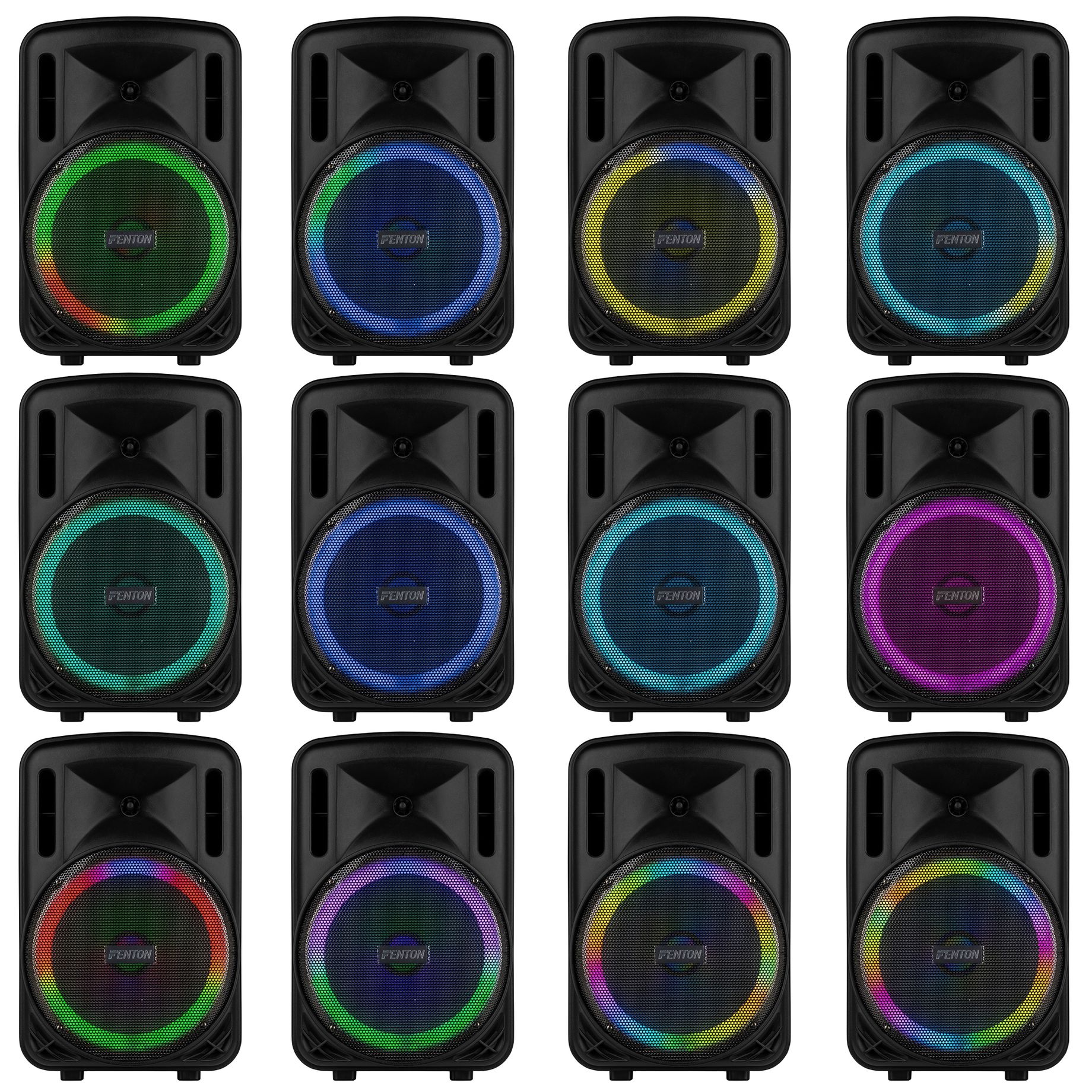 FT12LED MK2 Portable Sound System 12" 700W