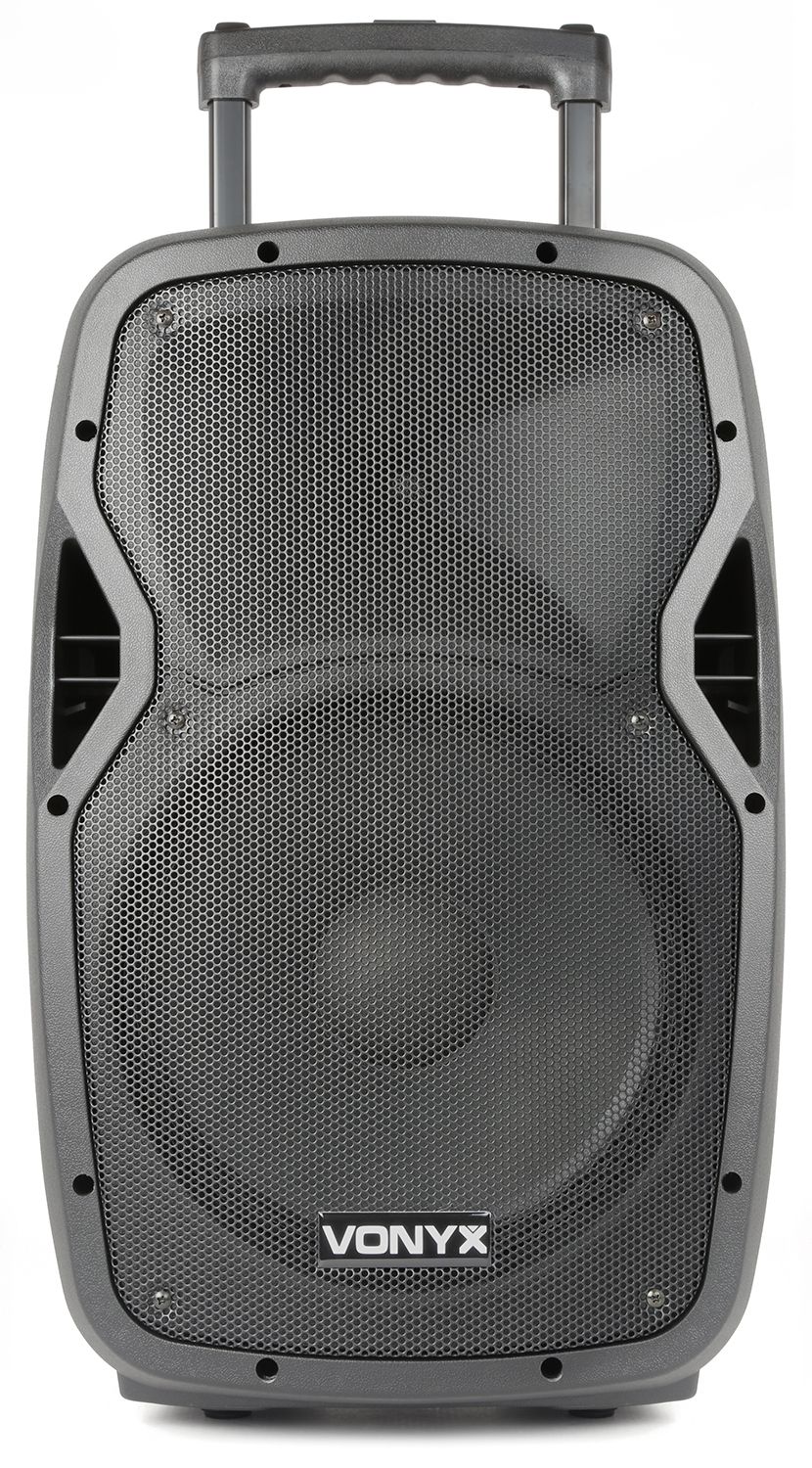 AP1200PA Portable Speaker 12"