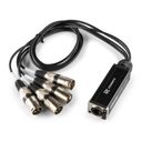 CX190 RJ45 to 4x XLR3M Cable Splitter 0.7m