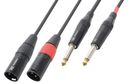 CX64-01 Cable Converter 2x XLR Male- 2x 6.3 Mono