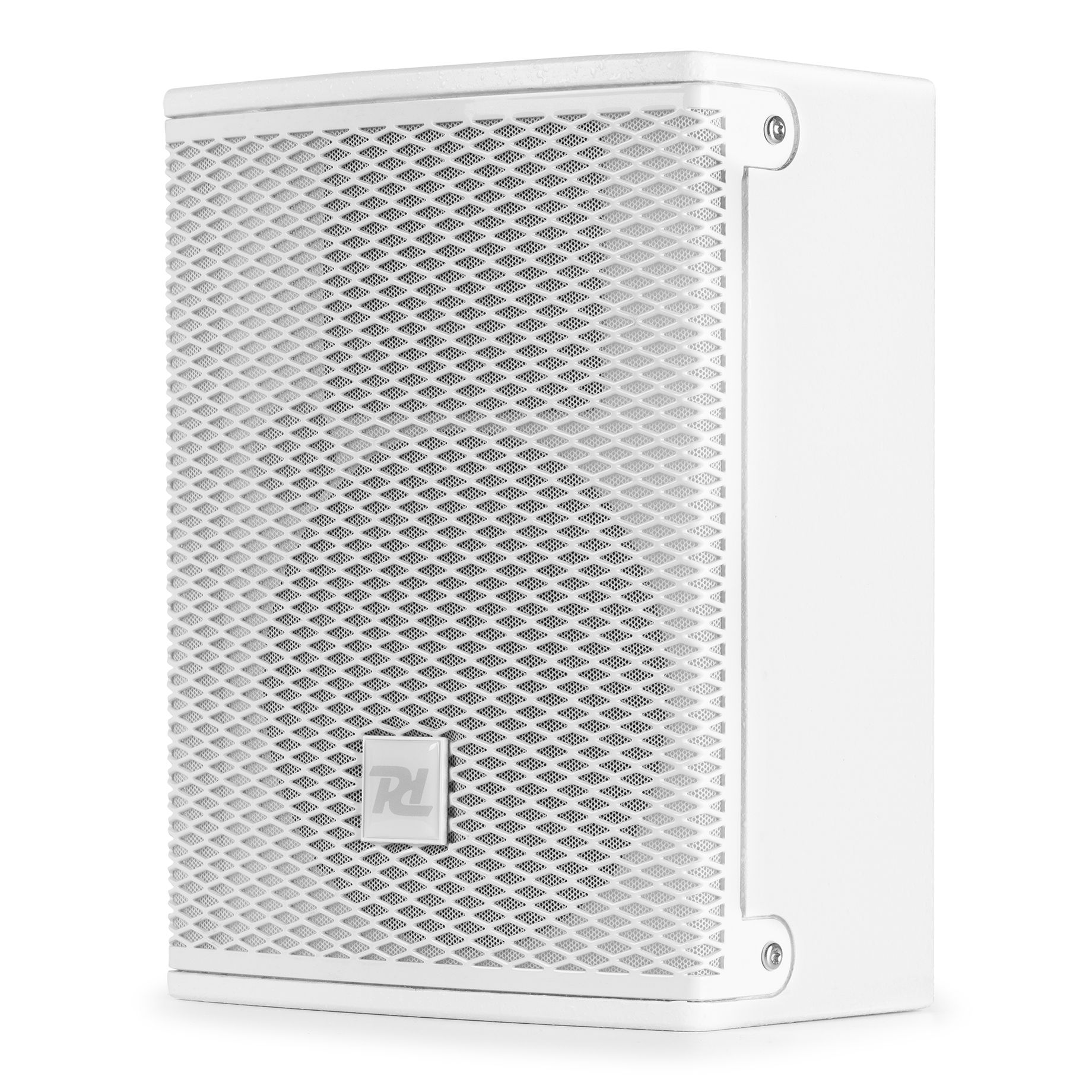 PDW5W Passive Speaker 5" White