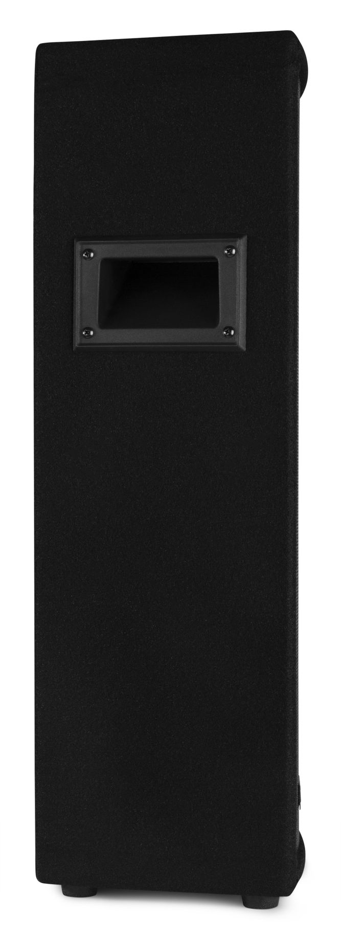 SL28 DJ/PA Cabinet Speaker 2x 8” 800W