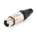 XLR NC3FXX 3P XLR Female Neutrik